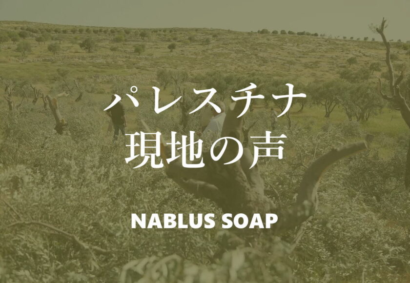 パレスチナ現地の声 - ナーブルスソープ