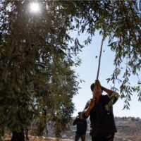 未来に残したいパレスチナの文化