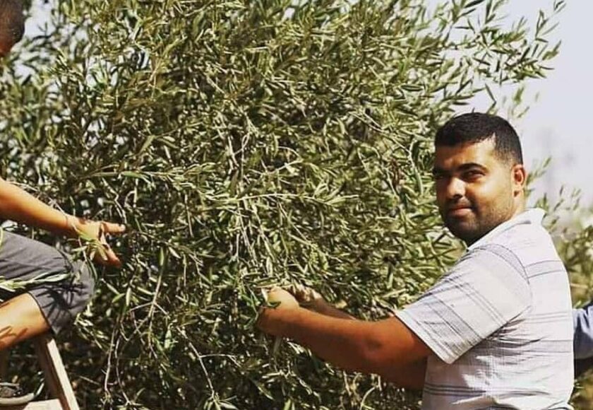 パレスチナの知恵｜未来のために木を植える理由