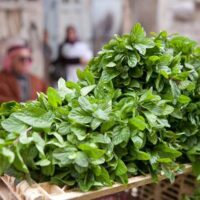 パレスチナの市場「スーク」を歩く｜香辛料とオリーブの香り