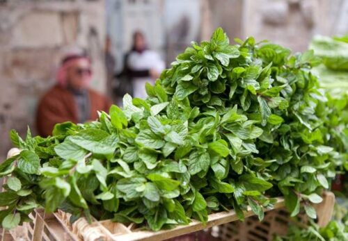 パレスチナの市場「スーク」を歩く｜香辛料とオリーブの香り