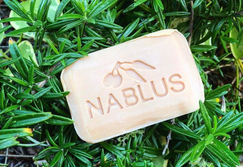 ペットにも安心？ナーブルスソープの成分をチェック