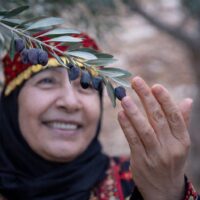 パレスチナの伝統美容｜オリーブオイルと自然素材のスキンケア