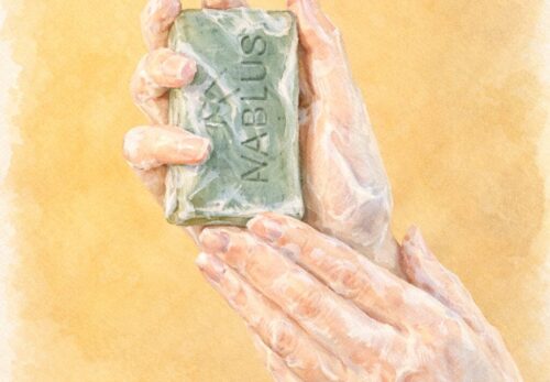 pHバランスから見るナーブルスソープのやさしさ｜洗いすぎない石鹸という考え方