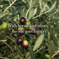 パレスチナの格言｜パンとオリーブがあれば飢えない