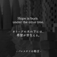 パレスチナの格言｜オリーブの木の下には希望が芽生える