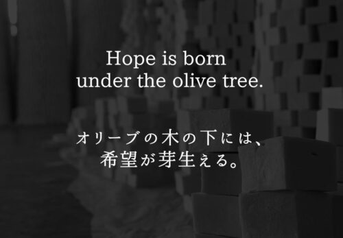 パレスチナの格言｜オリーブの木の下には希望が芽生える
