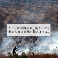 「たとえ木が焼かれ、切られても、私たちはこの地を離れません。」