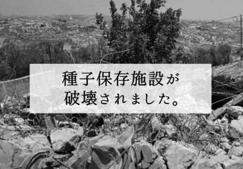 種子保存施設が破壊されました。