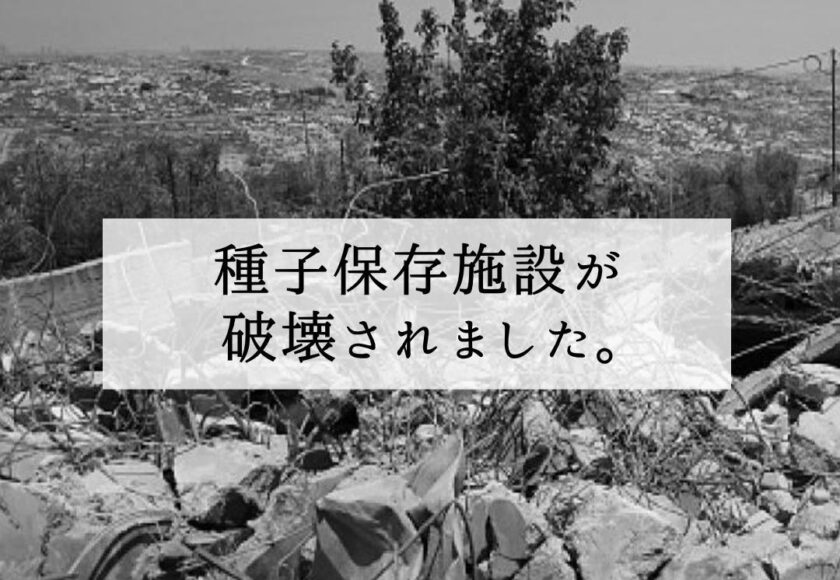 種子保存施設が破壊されました。