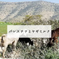 パレスチナとヤギミルク