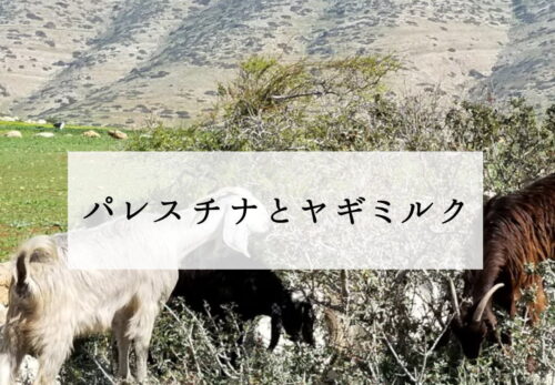 パレスチナとヤギミルク