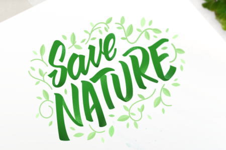 image-nature-450×300