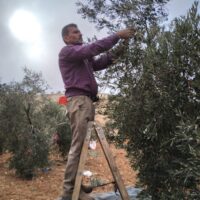 パレスチナの知恵｜「サブル（忍耐）」という生き方