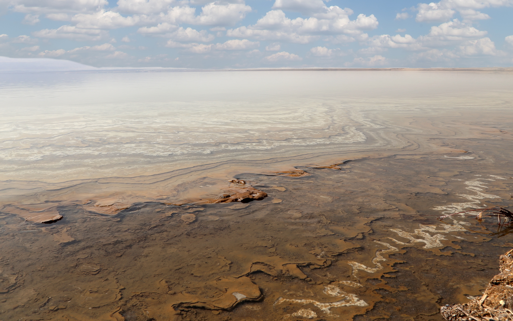 ナーブルスソープ NABLUS SOAP 死海の泥 Dead Sea Mud 豊富なミネラル 毛穴すっきり オーガニック石鹸